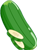 
LE CONCOMBRE